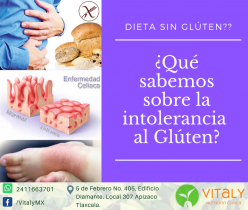 gluten