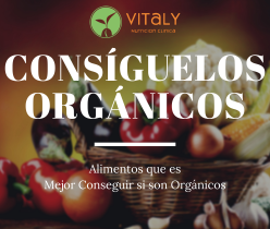 alimentos-organicos