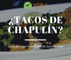 tacos-de-chapulin