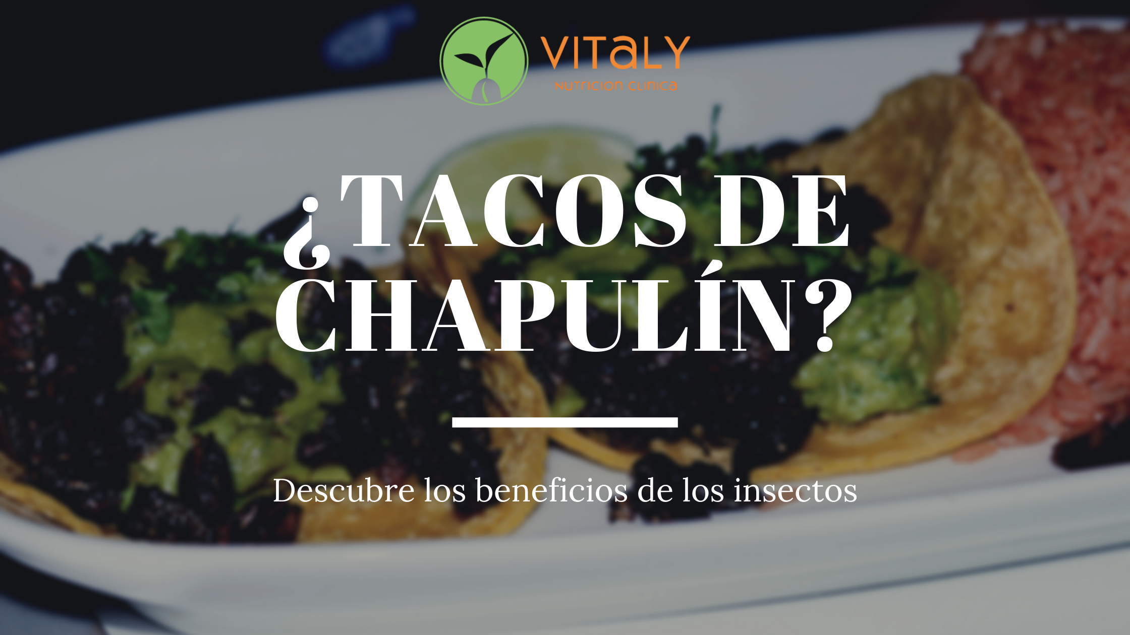 tacos-de-chapulin